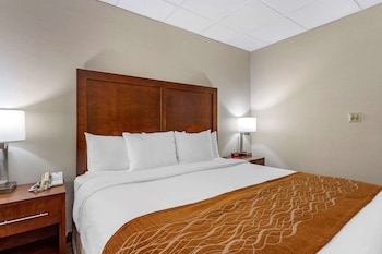 Room, 1 King Bed, Accessible, Non Smoking