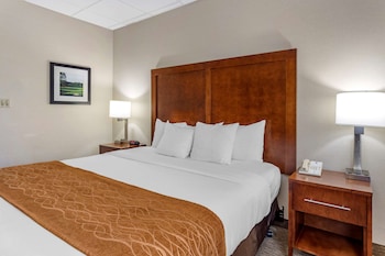 Standard Room, 1 King Bed, Non Smoking