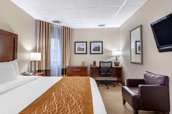 Room, 1 King Bed, Accessible, Non Smoking (Roll-In Shower)