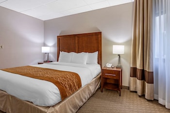Room, 1 King Bed, Accessible, Non Smoking (Roll-In Shower)