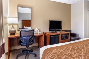 Standard Room, 1 King Bed, Non Smoking