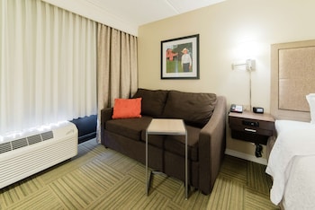 Room, 1 King Bed with Sofa bed, Lake View (Hearing)