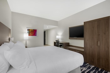 Standard Room, 1 King Bed, Accessible, Non Smoking