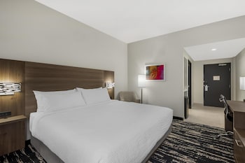Standard Room, 1 King Bed, Accessible, Non Smoking