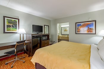 Standard Room, 1 King Bed, Non Smoking