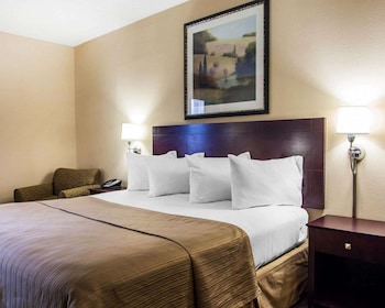 Suite, 1 King Bed with Sofa bed, Accessible, Non Smoking (Efficiency, Tub Accessible)