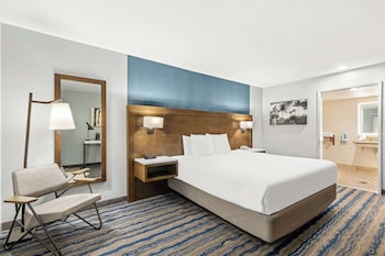 Standard Room, 1 King Bed, Accessible, Non Smoking