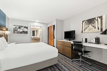 Standard Room, 1 King Bed, Accessible, Non Smoking