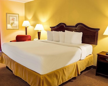 Standard Room, 1 King Bed, Non Smoking