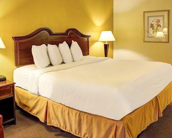 Standard Room, 1 King Bed, Non Smoking