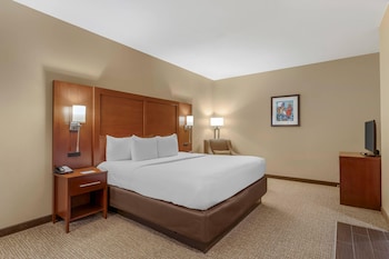 Business Suite, 1 King Bed with Sofa bed, Non Smoking (Upgrade)