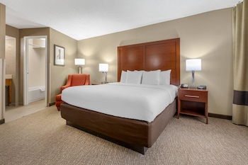 Business Room, 1 King Bed, Non Smoking (Upgrade)