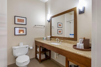 Business Suite, 1 King Bed with Sofa bed, Non Smoking (Upgrade)