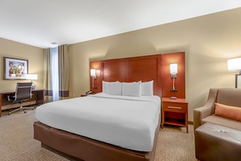 Business Suite, 1 King Bed with Sofa bed, Non Smoking (Upgrade)