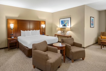 Business Room, 1 King Bed, Non Smoking, Ground Floor (Upgrade)