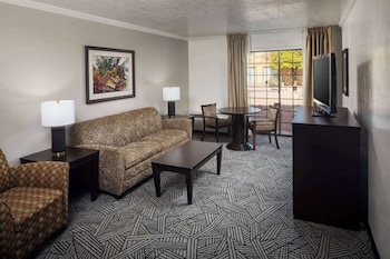 Suite, 1 Bedroom, Non Smoking