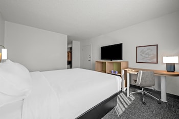 Room, 1 King Bed