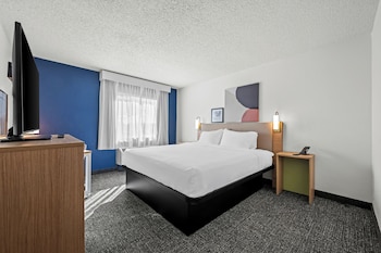 Room, 1 King Bed