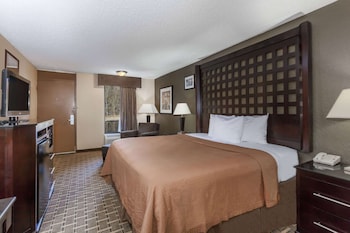 Room, 1 King Bed, Smoking