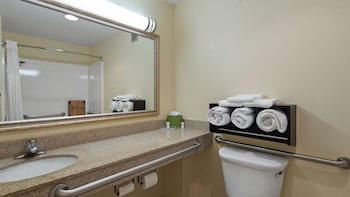 Standard Room, 1 King Bed, Non Smoking, Refrigerator & Microwave (with Single Sofabed)