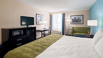 Standard Room, 1 King Bed, Non Smoking, Refrigerator & Microwave (with Single Sofabed)