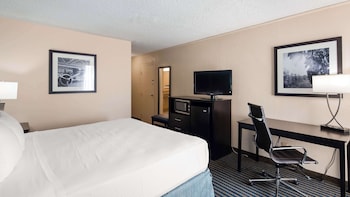 Standard Room, 1 King Bed, Accessible, Refrigerator & Microwave (with Single Sofabed)