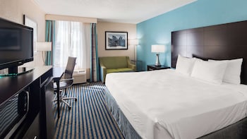 Standard Room, 1 King Bed, Accessible, Refrigerator & Microwave (with Single Sofabed)