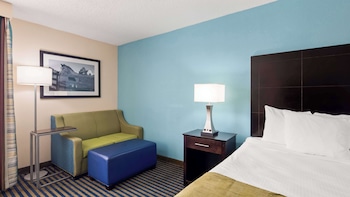 Standard Room, 1 King Bed, Non Smoking, Refrigerator & Microwave (with Single Sofabed)