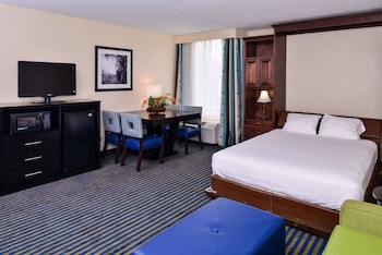 Standard Room, 1 Queen Bed, Non Smoking, Refrigerator & Microwave (with Single Sofabed)