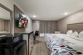Deluxe Room, 1 King Bed, Smoking
