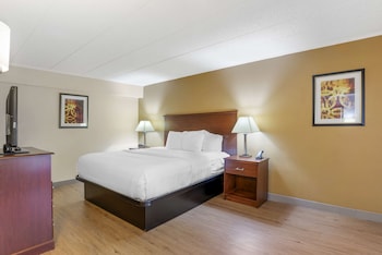 Standard Room, 1 King Bed, Accessible, Refrigerator & Microwave