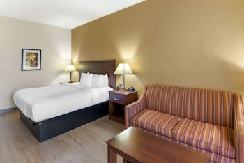 Deluxe Room, 1 King Bed, Non Smoking, Refrigerator & Microwave (with Sofabed)