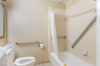 Standard Room, 1 King Bed, Accessible, Refrigerator & Microwave
