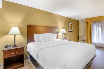 Standard Room, 1 King Bed, Accessible, Refrigerator & Microwave