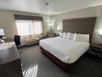 Standard Room, 1 King Bed, Accessible, Non Smoking