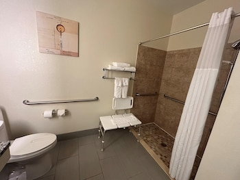 Standard Room, 1 King Bed, Accessible, Non Smoking