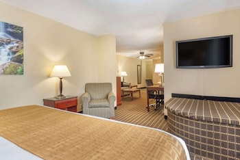 Suite, 1 King Bed, Non Smoking, Jetted Tub (with Sofabed)