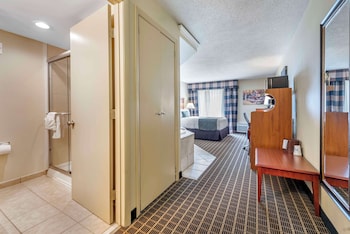 Suite, 1 Queen Bed, Jetted Tub, Pool View (Walk-in Shower)