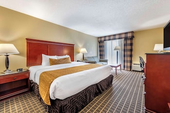 Standard Room, 1 King Bed, Non Smoking, Refrigerator