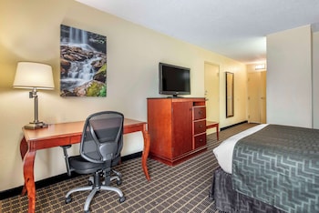 Standard Room, 1 Queen Bed, Accessible, Refrigerator & Microwave