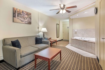 Suite, 1 King Bed, Non Smoking, Jetted Tub (with Sofabed)