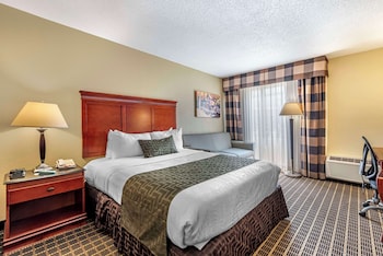 Standard Room, 1 Queen Bed, Accessible, Refrigerator & Microwave
