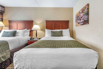 Standard Room, 2 Double Beds, Non Smoking, Refrigerator & Microwave