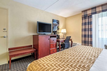 Standard Room, 1 King Bed, Non Smoking, Refrigerator