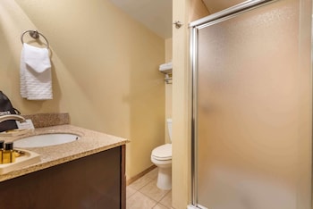 Suite, 1 King Bed, Non Smoking, Jetted Tub (with Sofabed)