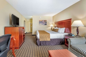 Standard Room, 1 King Bed, Non Smoking, Refrigerator