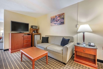 Suite, 1 King Bed, Non Smoking, Jetted Tub (with Sofabed)