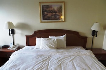 Standard Room, 1 King Bed, Accessible