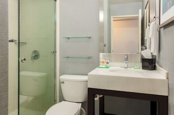 Room, 1 King Bed, Accessible (Shower)