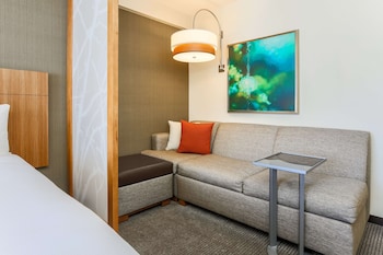 Room, 1 King Bed, Accessible (Shower)